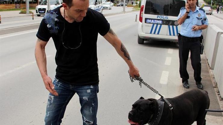 Gezdirdiği köpeği pitbull sandılar kenti ayağa kaldırdılar