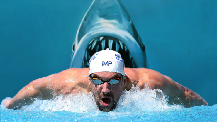 Michael Phelpsin tek rakibi köpek balığı