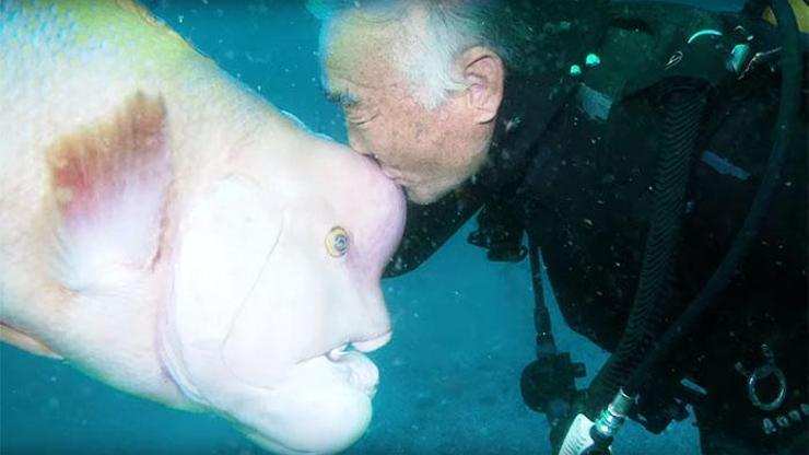 25 senedir denizler altındaki dostunu ziyaret ediyor