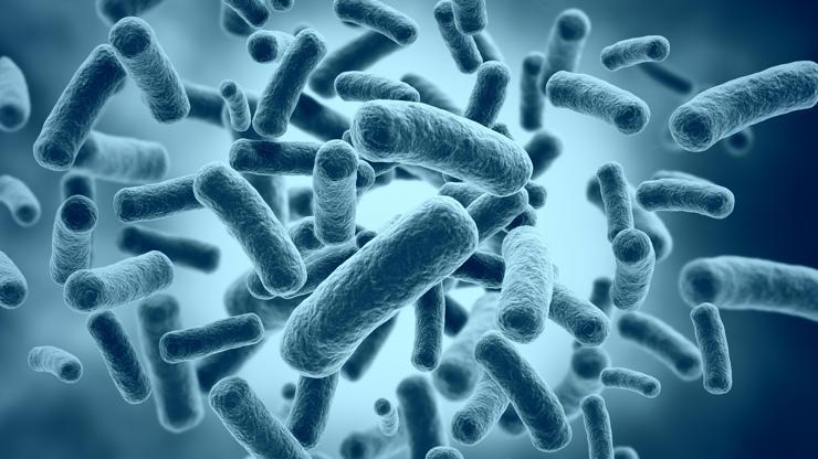 Kusma, ishal ve bakteri: Kaynağı un zehirlenmesi olabilir mi