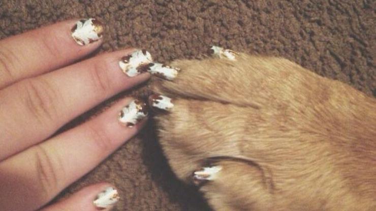 Bir garip moda: Evcil hayvanlarla aynı manikürü yaptırmak