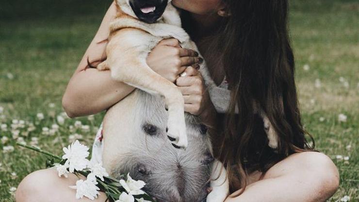 Hamile köpeğine fotoğraf çekimi yaptı, internet buna bayıldı