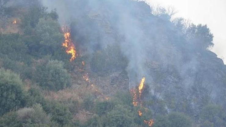 Aydında orman yangını: 1 hektar alan zarar gördü