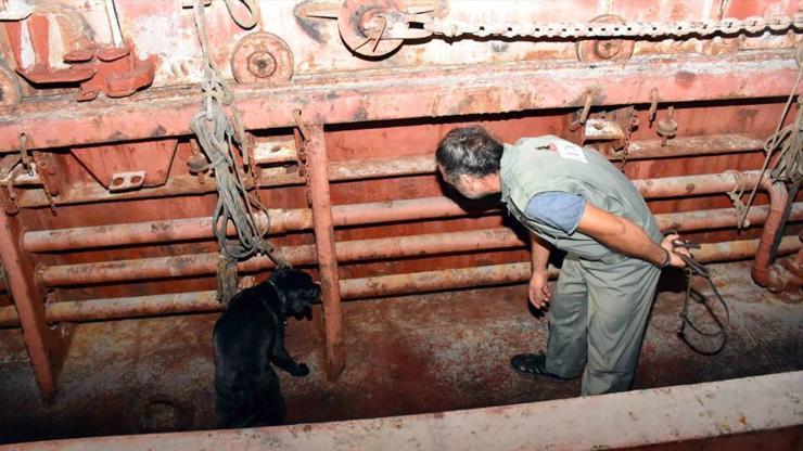 Yunan Sahil Güvenliğinden Türk gemisine uyarı ateşi