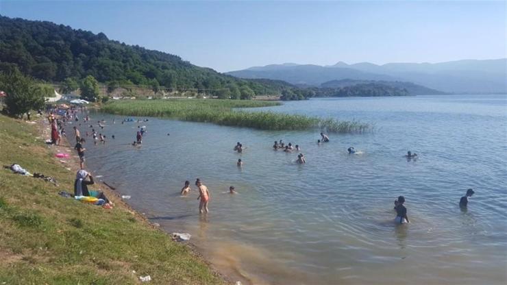 Tehlikeye aldırış etmeden yüzüyorlar