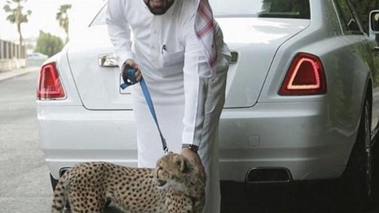 Silahlar, son model arabalar ve ilginç hayvanlar... İşte Suudi Arabistanın zengin çocukları