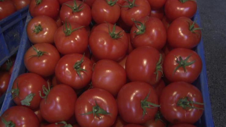 1 TLlik domates nasıl 2,80 TL oluyor