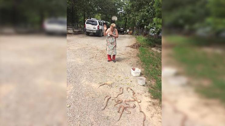 72 yaşındaki kadından hedef şov: 11 yılanı öldürdü