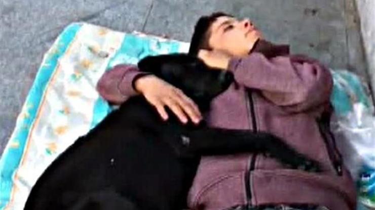 Beşiktaş’ta köpeğe sarılarak uyuyan çocuk duygulandırdı