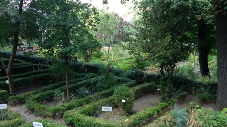 Atatürk’ün kurduğu botanik bahçesi Diyanete tahsis edildi