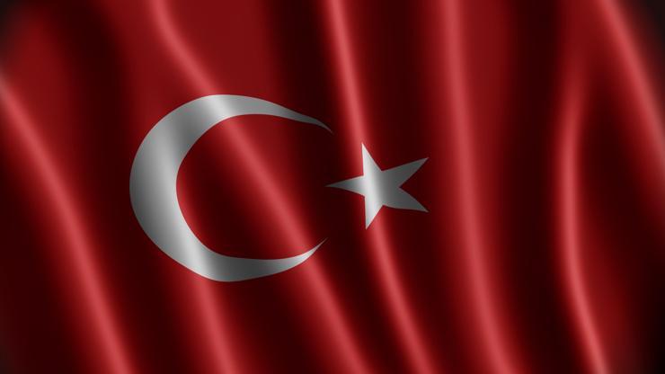 Fidyecilerin Türk bayrağı oyunu