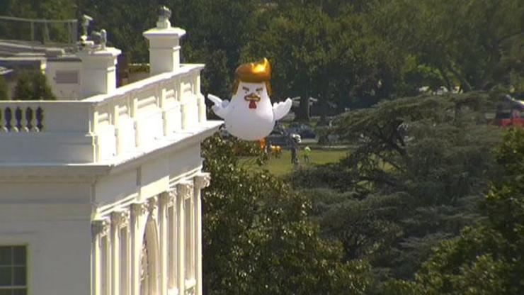 Beyaz Sarayın bahçesinden dev bir Trump tavuğu yükseldi