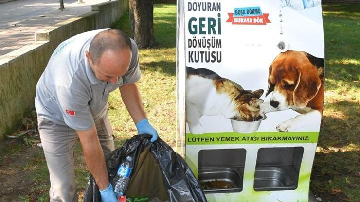 Çevreyi temizlerken sokak hayvanlarını doyuran sistem: Pugedon
