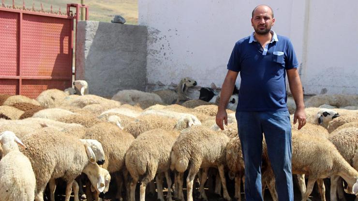 Koyunları için bidonlarla 10 kilometreden su taşıyor