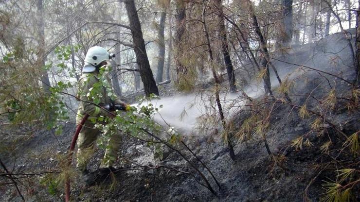 Manisa Spil Dağında orman yangını