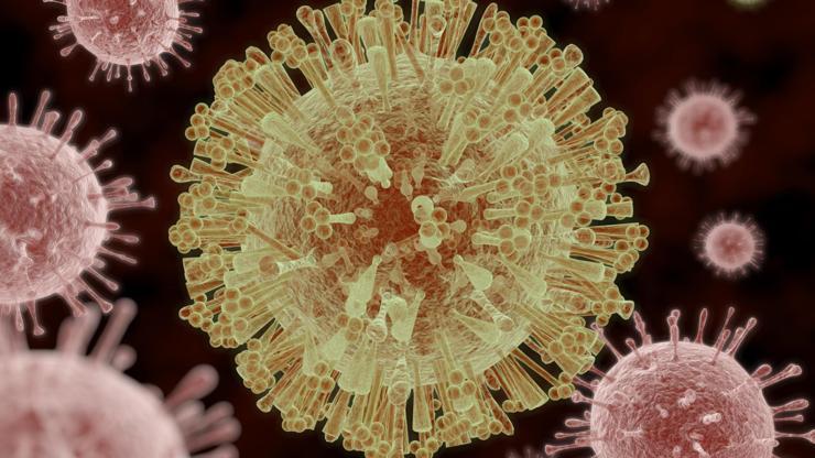 Zika virüsü beyin kanserinin tedavisinde kullanılabilir