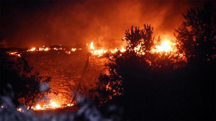 Muğladaki orman yangınında bir mahalle kül oldu