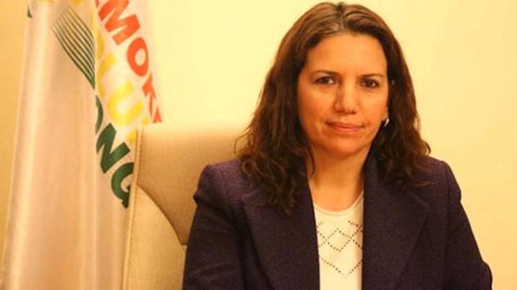 HDPli vekil Irmak SEGBİS ile duruşmaya katılmayı kabul etmedi