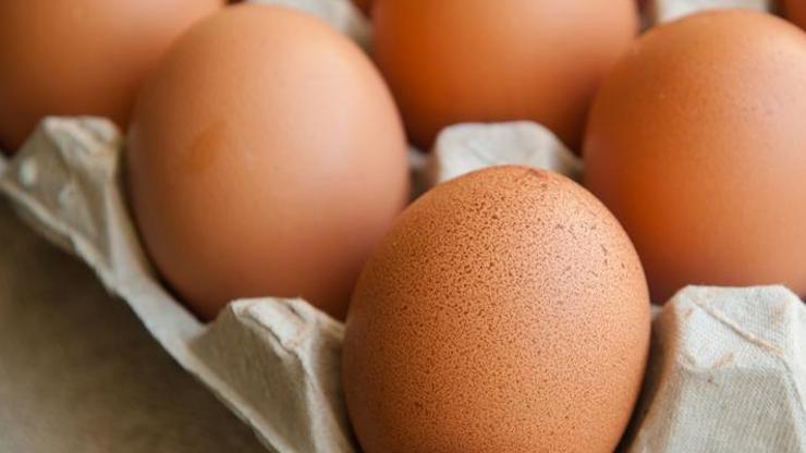 Eylül ayında yumurta üretimi azaldı