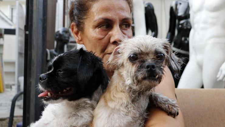 Kahraman komşular 4 köpek, 3 muhabbet kuşunu kurtardı