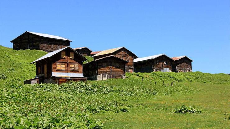 Betonun giremediği yayla