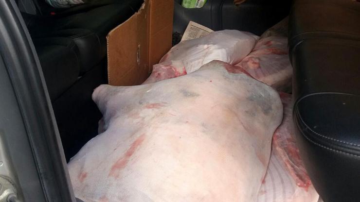 Durdurulan minibüsten 420 kilo domuz eti çıktı