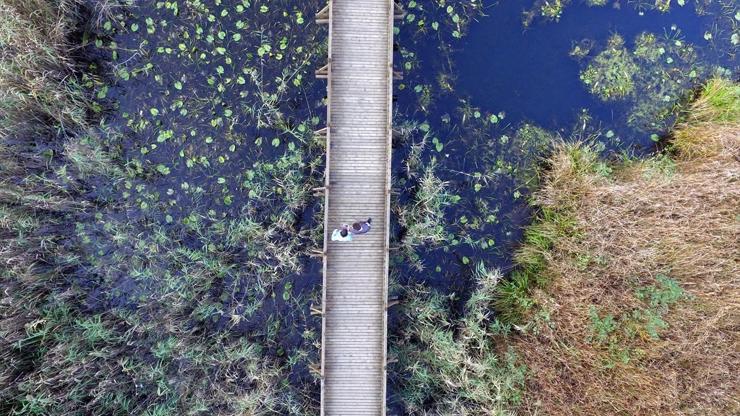 Düzcedeki cennet drone ile görüntülendi: Efteni Kuş Cenneti
