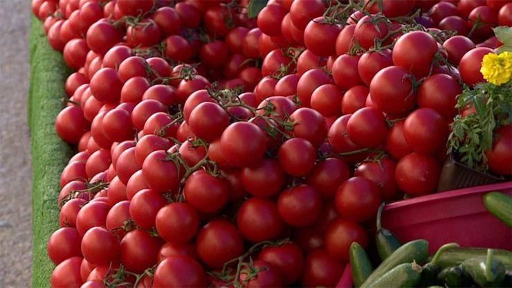 Rusya Türkiyeden domates ithalatını onayladı
