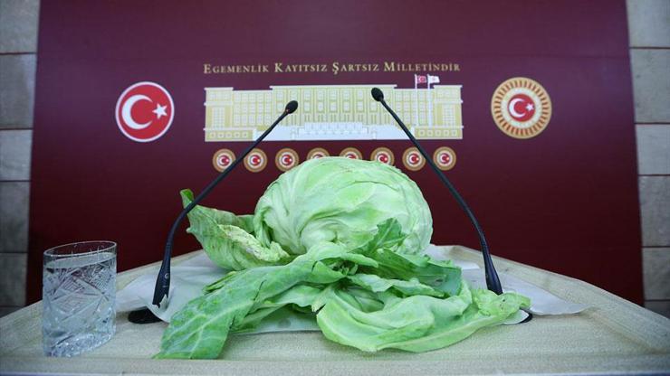Lahana Meclis kürsüsünde