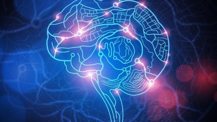 Nöroplastisite ile beyninizi yenilemek mümkün mü