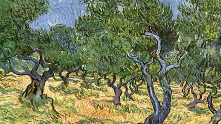 Van Gogh’un Zeytin Ağaçları tablosunda çekirge bulundu