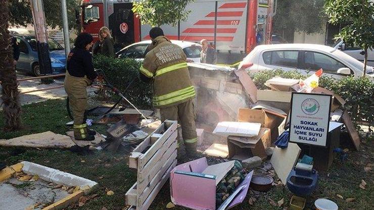 Korkunç olay Gündüz vakti kedi evlerini ateşe verdiler