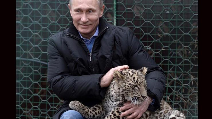 Putin’in leoparı Abhazya’da yakalandı