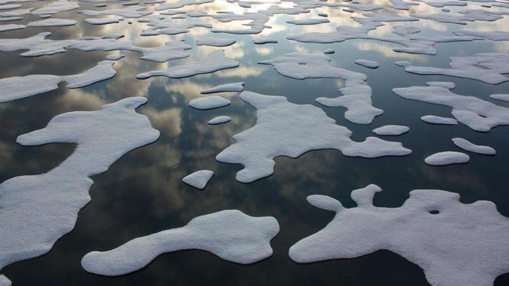 Arktik Okyanusu en az 16 yıl balıkçılığa kapatıldı