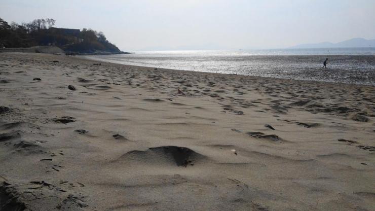 Dünyanın en tehlikeli plajı Turistleri mayınlarla hedef alıyorlar