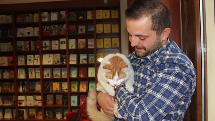 El Babda bulduğu kediyi  İstanbulda ziyaret etti