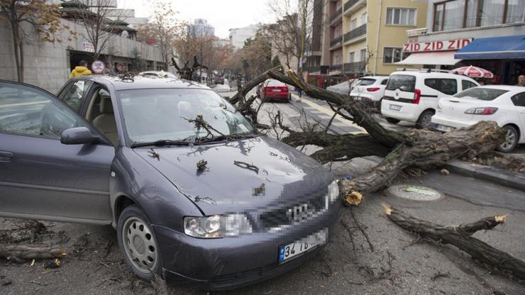 Ankarada korkunç olay... Düşen ağaç ön camdan girdi, şoför yaralandı