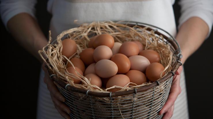 Sosyal medyaya damgasını vuran hikaye: Yumurta