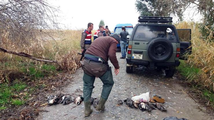 Milli parkta ördek katliamı