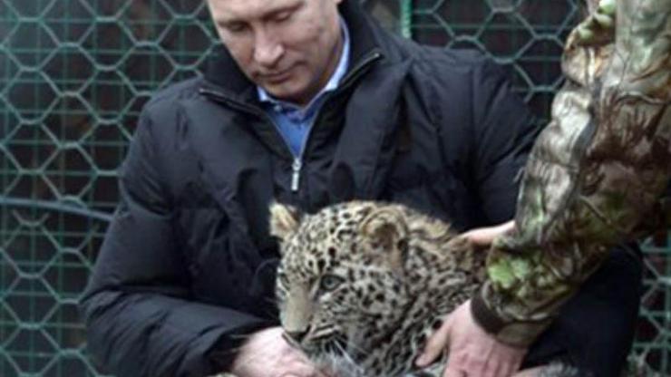 Putinin leoparı ölü bulundu