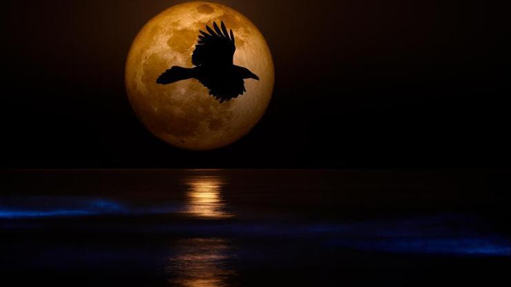 Gökyüzünde şölen bu gece yaşanacak: Süper Ay, Mavi Ay ve Kanlı Ay
