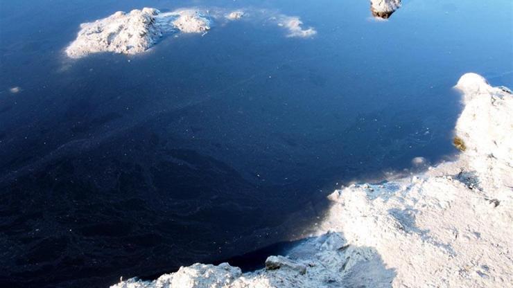 Sarımsaklı sahilinde ürküten manzara: Deniz kapkara