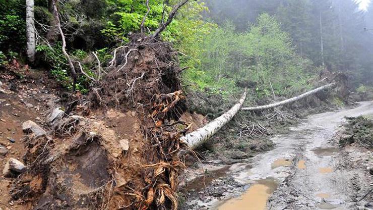 Rizede 11 çevreci için beraat kararı