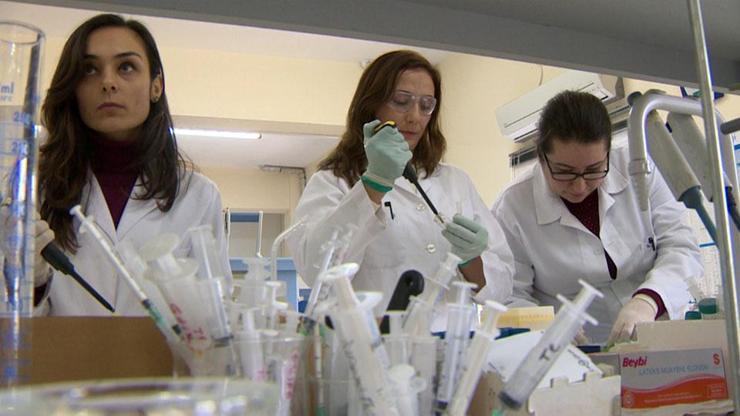 Uluslararası verilere göre bilimde kadınlar geride