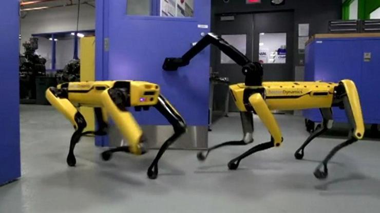 Dünyanın en centilmen robotu