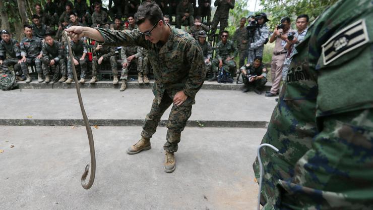 Askeri tatbikatta kobra kanı içip doğada hayatta kalmayı öğrendiler