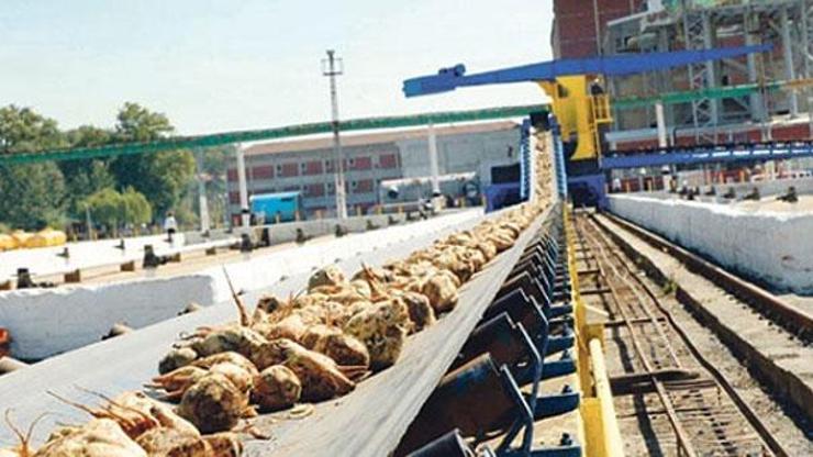 Şeker fabrikalarının özelleştirilmesi üretimi etkileyecek