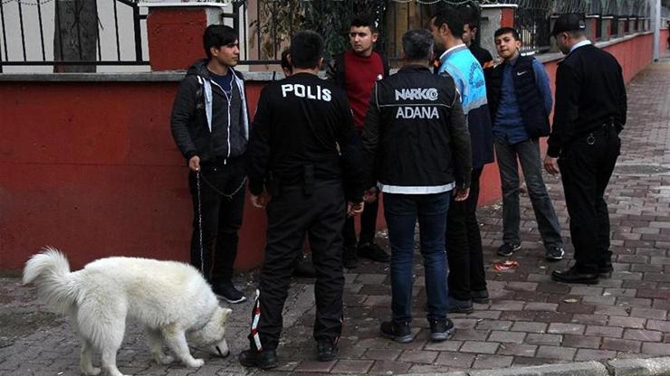 Kimliğini ibraz edemeyince köpeğe el konuldu