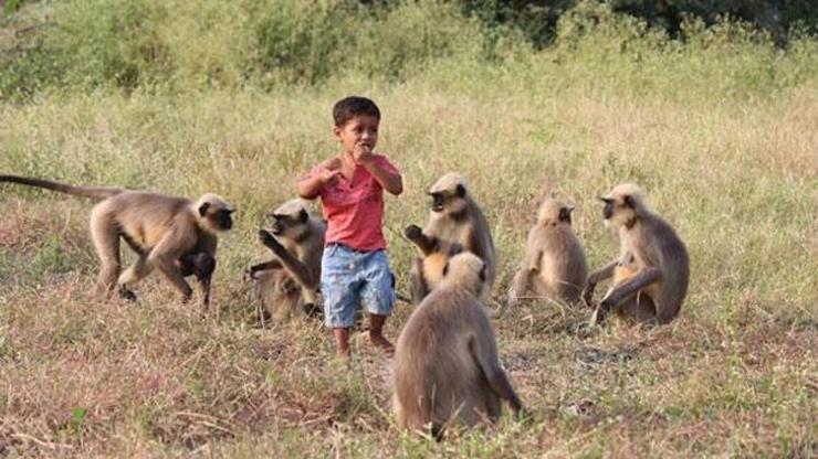 Maymunlarla konuşuyor diye 2 yaşındaki çocuğu tanrı ilan ettiler