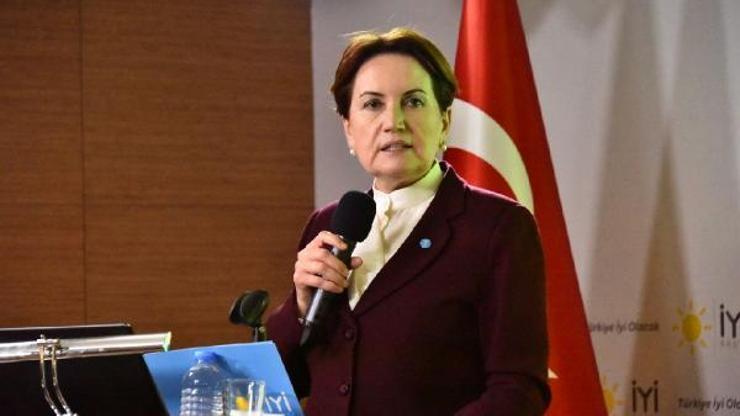 İYİ Parti Genel Başkanı Meral Akşener, FETÖ ve DEAŞ ile mücadele eylem planını açıkladı